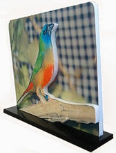 Load image into Gallery viewer, Photo POPout 5x7"