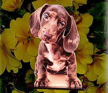 Load image into Gallery viewer, Photo of a brown Lab. puppy photo cutout.
